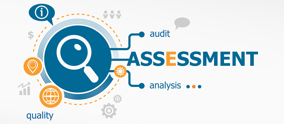 Security Assessment